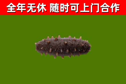 游仙区烟酒回收干海参.jpg